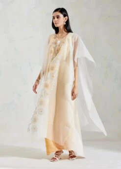 Ivory And Yellow Organza And Crinkle Crepe And Crinkle Georgette Cape And Dress -Ethereal Styles 2 52730