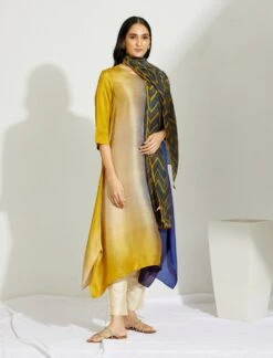 Artisanal Multicolor Asymmetrical Ombre Dress Kurta With Printed Stole -Ethereal Styles 4 11607