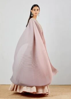 Blush Pink Gotta Patti Chikankari Embroidered Poncho Dress With Shaded Crinkle Cape -Ethereal Styles 4 18626