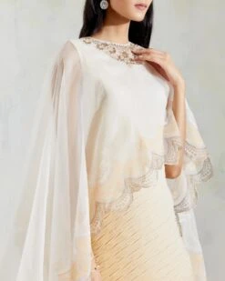 Ivory And Yellow Organza And Crinkle Crepe Cape And Dress -Ethereal Styles 4 26787