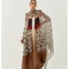 Printed Chiffon Cape With A Shaded Dress Set -Ethereal Styles akpogd1127bom30371