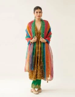 Golden Olive Silk Embroidered Kurta Dress Set