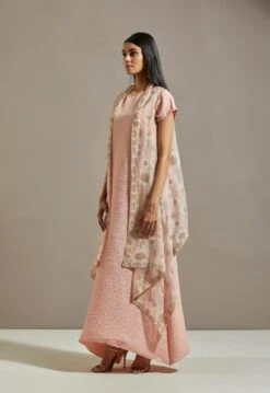 Pink Organza Cape With Dress -Ethereal Styles omiwob21cap442